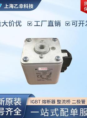 巴斯曼熔断器 170M5959 170M5960 170M5961 170M5966 170M5967