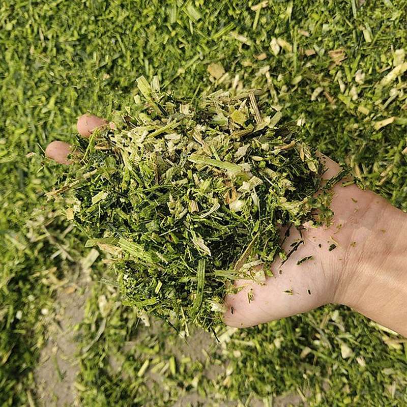 多哥铡草揉丝粉碎一体机干湿两用粉草机 养殖牛羊玉米秸秆粉碎机