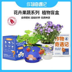 【2盒】作物奇遇记小盆栽花卉果蔬盲盒