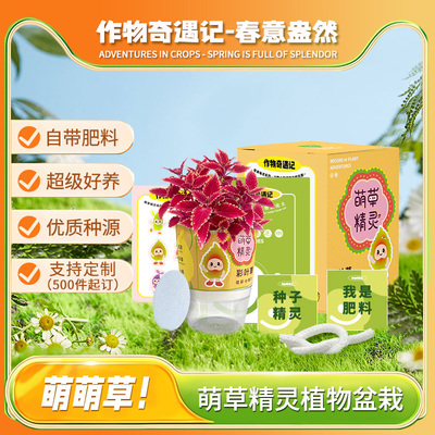 萌草精灵植物盆栽领券更优惠