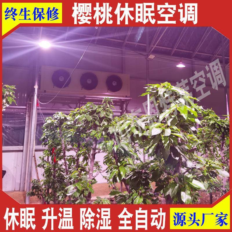 8匹大樱桃制冷机樱桃大棚制冷休眠设备樱桃休眠假如除湿一体机
