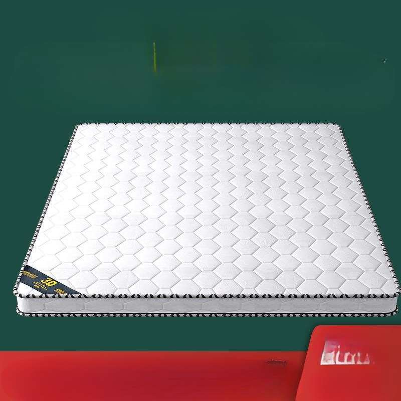 纯椰棕床垫双人棕垫1.8偏硬护脊1.5加厚棕榈经济家用折叠床