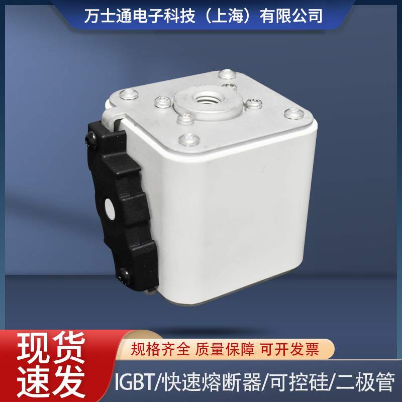 熔断器170M6538 170M6539 170M6540 170M6541 170M6542 170M6543