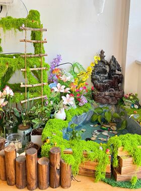 幼儿园植物角布置环创材料自然角装饰种植区造景彷真苔藓装饰摆件