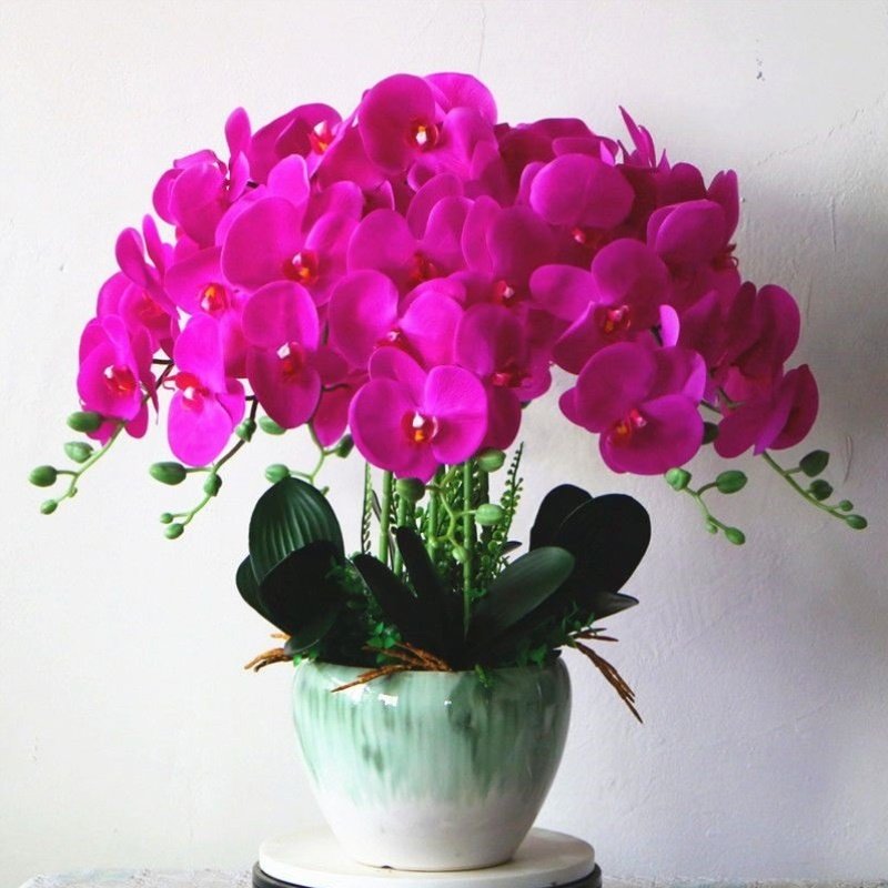 pu蝴蝶兰假花手感保湿厂家直销胶布蝴蝶兰仿真花陶瓷花盆客厅装饰