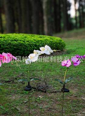 太阳能5LED蝴蝶兰花灯LED兰花紫色粉红白色兰花灯仿真花园草坪灯