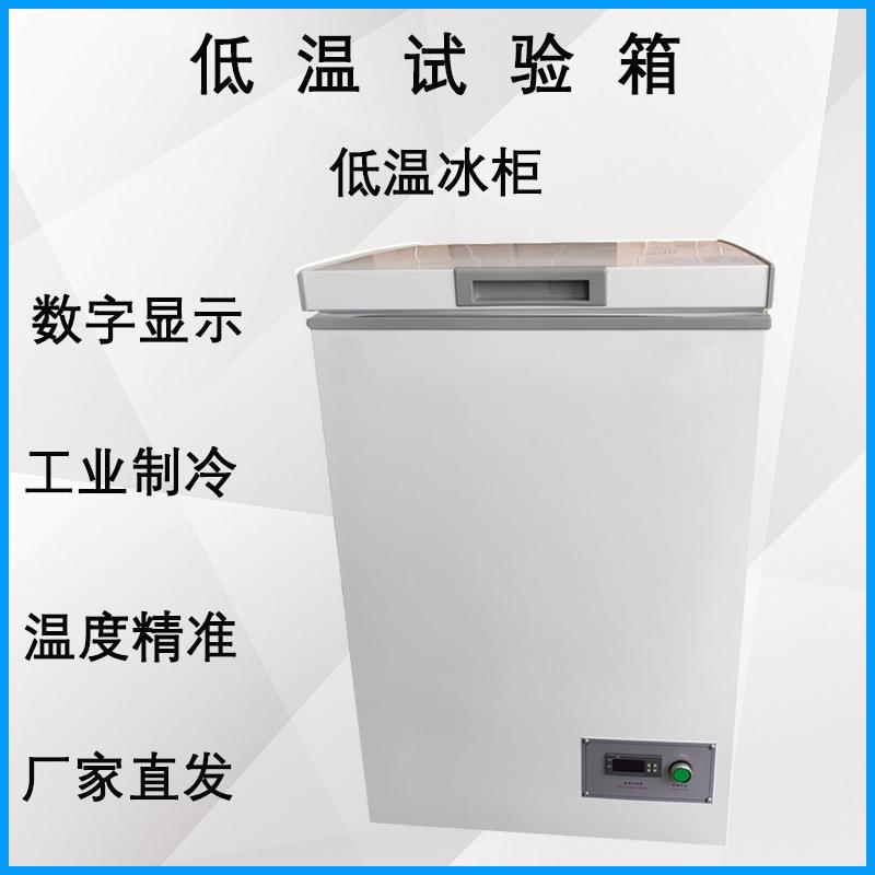 低温试验箱小型冷冻柜工业冷藏实验室DW-40/50/60环境老化测试箱