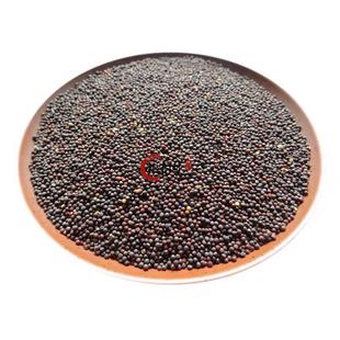 INDIAN SPICE 印度食品 香料 BLACK MUSTARD SEEDS 黑芥籽 100g