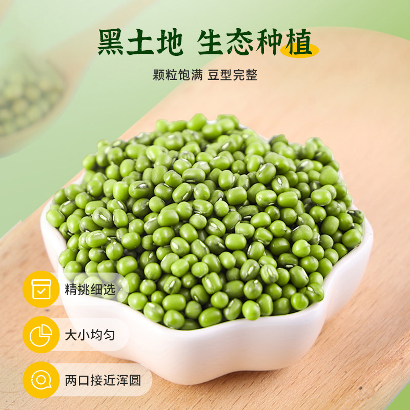 东北绿豆当季新货皮薄小豆