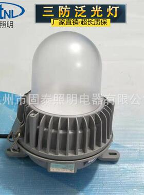 厂家直销NFC9183NY/LED-24W三防泛光灯防水防尘防腐防眩工作灯
