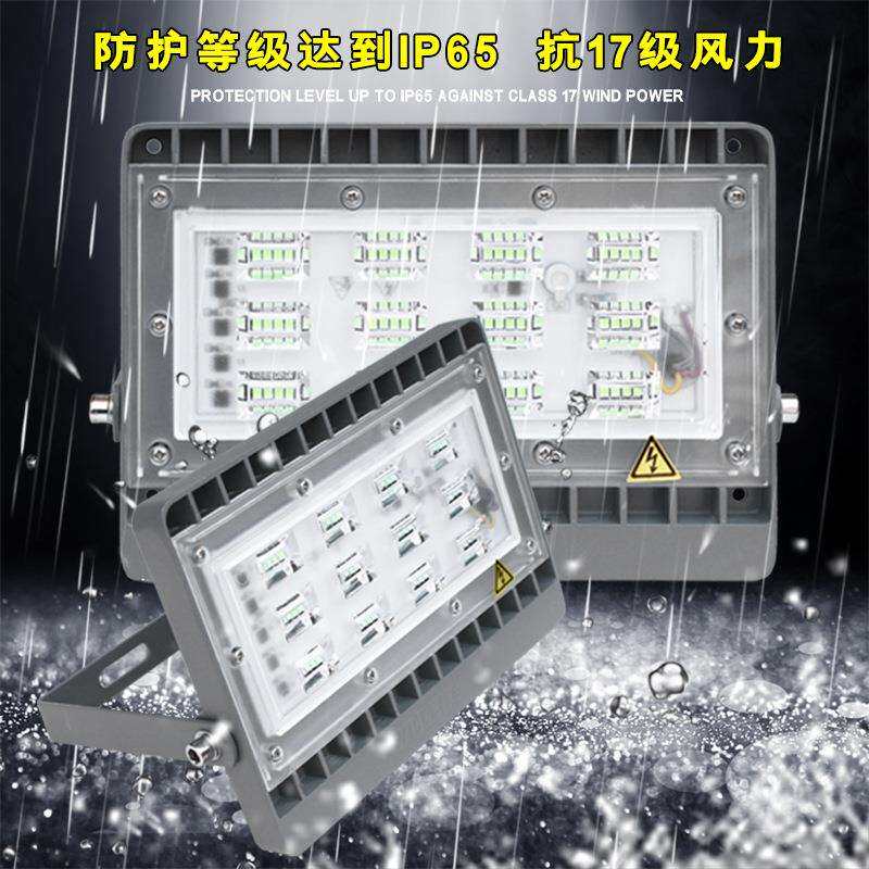 LED投光灯多彩公园庭院景观射灯照明50W黄光绿光户外红蓝光投射灯