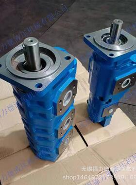 厂家直销CBG2063/2063-BFPL CBG2080/2050-BFPL双联齿轮油泵
