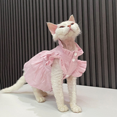 超薄夏季 背心裙任发财无毛猫F衣服斯芬克斯猫德文衣服