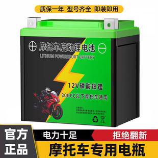 摩托车电瓶12v通用春风贝纳利哈雷宝马125踏板豪爵铃木三轮锂电池