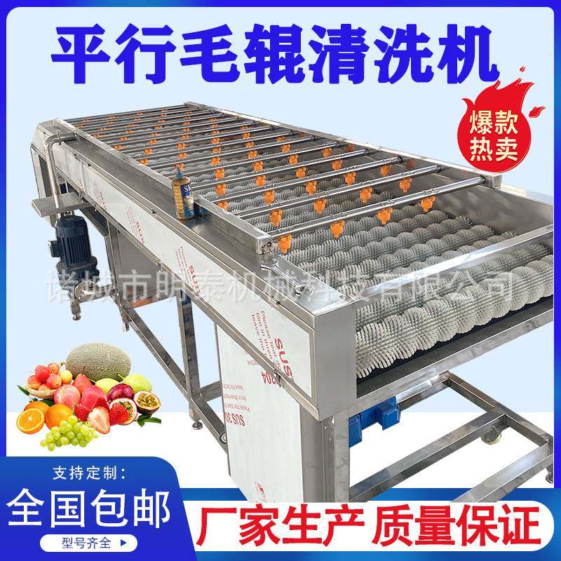 大型大姜平行毛辊清洗机 干红枣鲜枣清洗设备 柚子沃柑清洗打蜡机,鲜花速递/花卉仿真/绿植园艺,花艺材料,淘宝优惠券,粉丝福利购,淘宝优惠卷