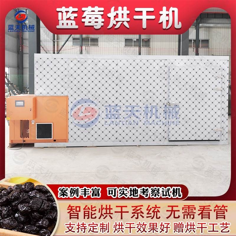 蓝莓烘干机 空气能蓝莓果脯蓝莓干烘干房 大型水果干脱水干燥设备
