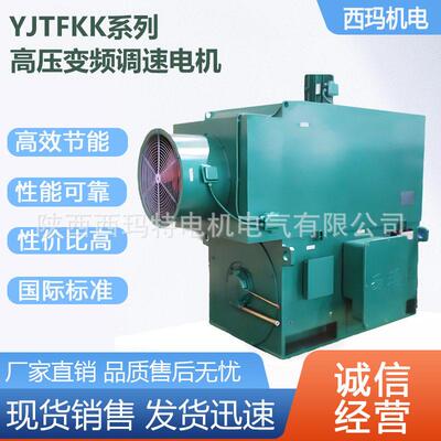 西安西玛电机YJTF6306-6极2500W6V压变频三相异步电动机厂