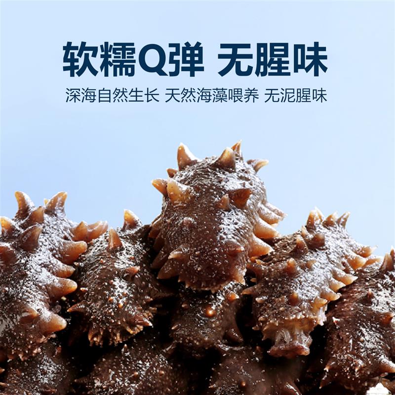 大连底播海参即食海参独立袋装鲜食海参辽刺参滋补款实惠一斤500g