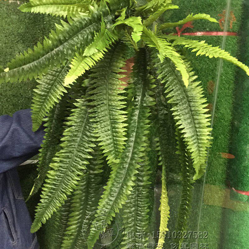 仿真波斯草叶吊兰藤条藤蔓热带植物假花绢花叶子树枝壁挂装饰绿植