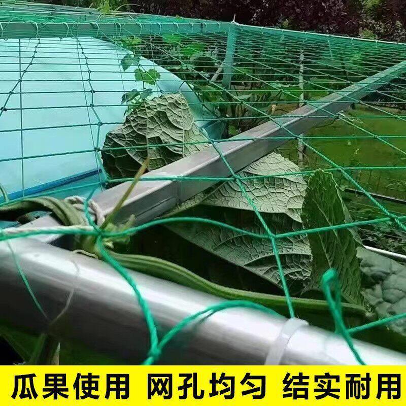 新型爬藤网植物攀爬网网格爬藤架种植网百香果丝瓜豆角绿萝瓜果