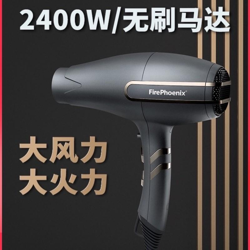 火之凤电吹风机F3理发店大功率发廊静音速干吹风机家用吹风筒风机