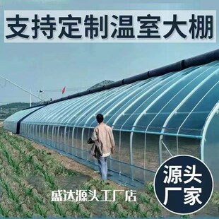 大鹏全套钢管骨架子大棚朋支架八米塑料布搭配件疏菜温室种植铁六