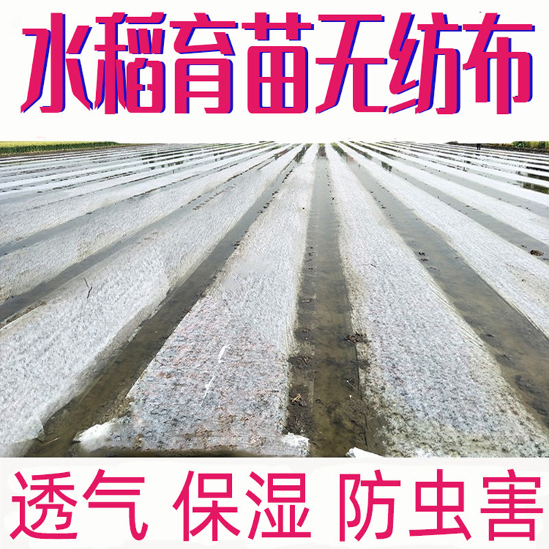 水稻育秧布农用无纺布花草树育苗抗老化土工布薄膜地膜透气懒汉膜
