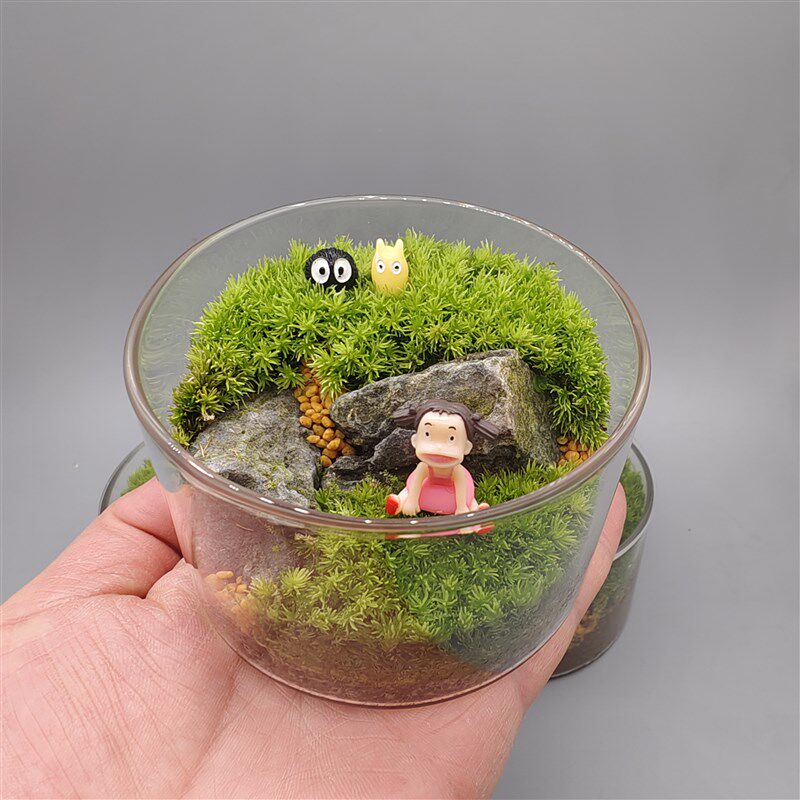 龙兰-桌面草坪苔藓微景观(直径9CM高6CM)