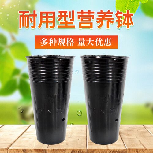 营养钵塑料育苗杯育苗袋无纺布大号花盆穴盘育苗盆加厚型营养杯