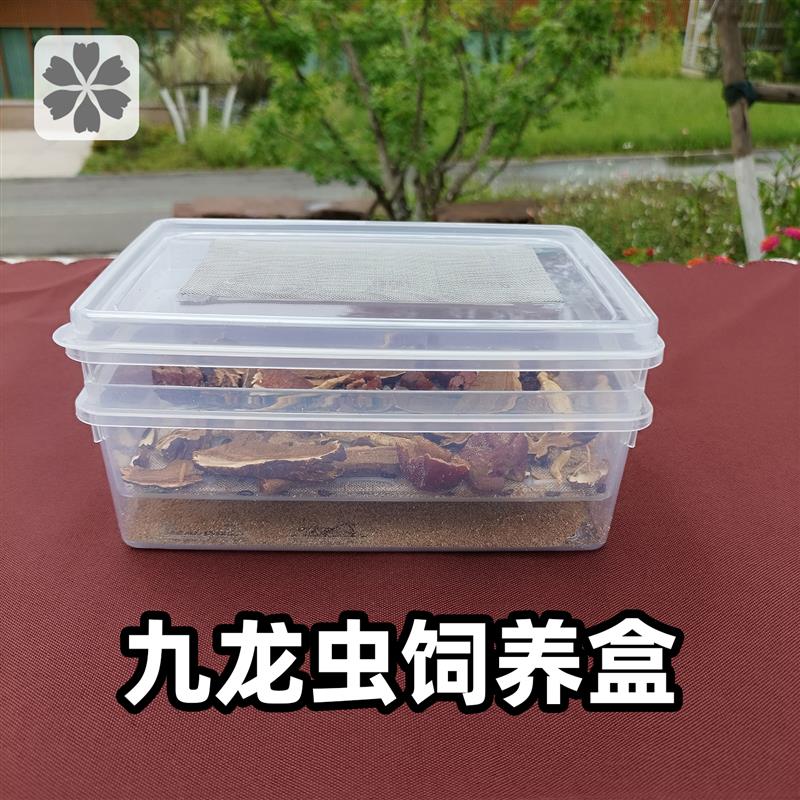 九龙虫饲养盒繁殖盒幼虫过滤粪便分离器洋虫盒子养殖箱爬宠窝图片