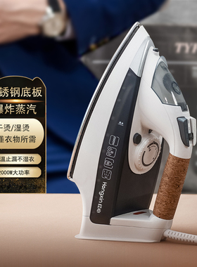 红心牌蒸汽电熨斗手持家用RH1366干湿两用大功率熨衣机电烫斗