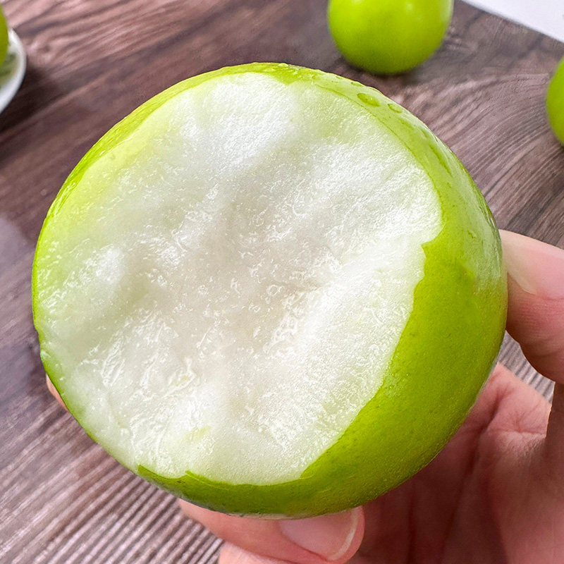 初柠柔云南西双版纳苹果枣新鲜水果当季整箱包邮青枣现摘脆甜,水产肉类/新鲜蔬果/熟食,枣,淘宝优惠券,粉丝福利购,淘宝优惠卷