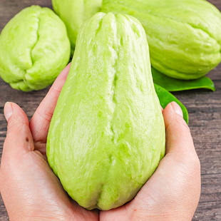 初柠柔云南新鲜佛手瓜现摘当季蔬菜脆嫩爽口洋瓜佛寿瓜倭瓜