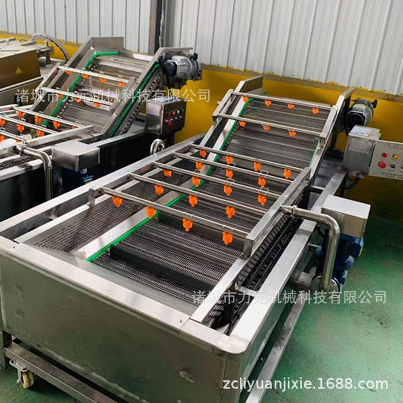 果蔬清洗设备 高压鼓泡净菜加工流水线 大型商用叶类菜清洗设备