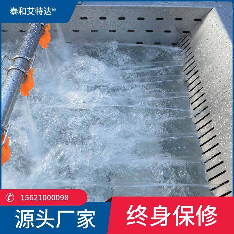 新疆葡萄干去泥沙清洗机葡萄干去石机葡萄干加工全套设备