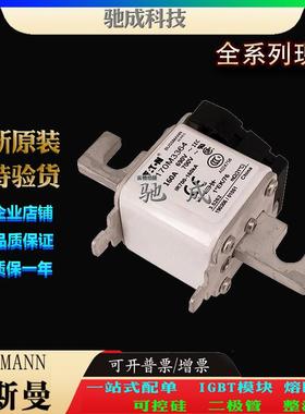 巴斯曼170M3363 170M3364 170M3365 大量现货厂价销售 快速保险丝