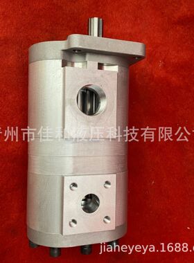 扫雪车双联齿轮泵CBNL-550/510 多种规格 运行稳定