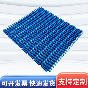 厂家提供27.2节距塑料平格型网带 各种网带