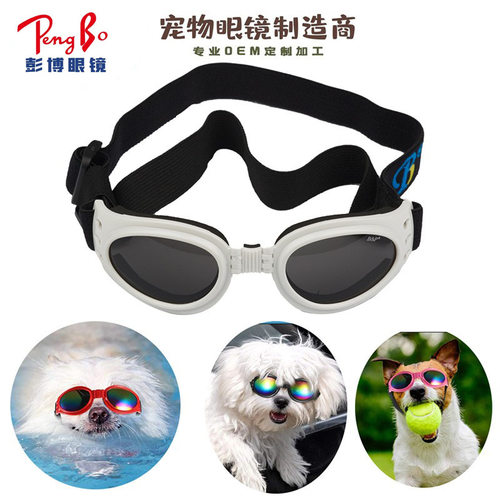 宠物护目镜欧美风流行户外防风饰