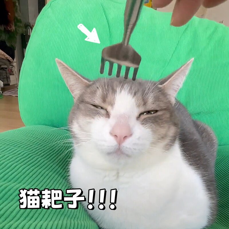 猫咪耙子挠痒痒按摩逗猫棒玩具猫咪解闷神器可伸缩梳毛刷抓痒梳子
