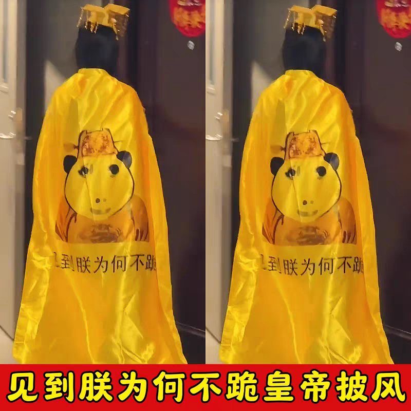 龙图表情包披风皇帝搞笑恶搞黄袍登基cos皇上搞怪抽象沙雕服饰