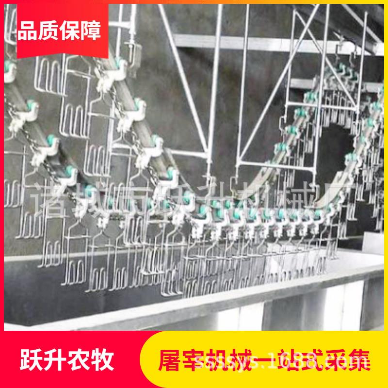 白条鸡生产线家禽屠宰机械设备流水线安装全自动817鸡宰杀线D004