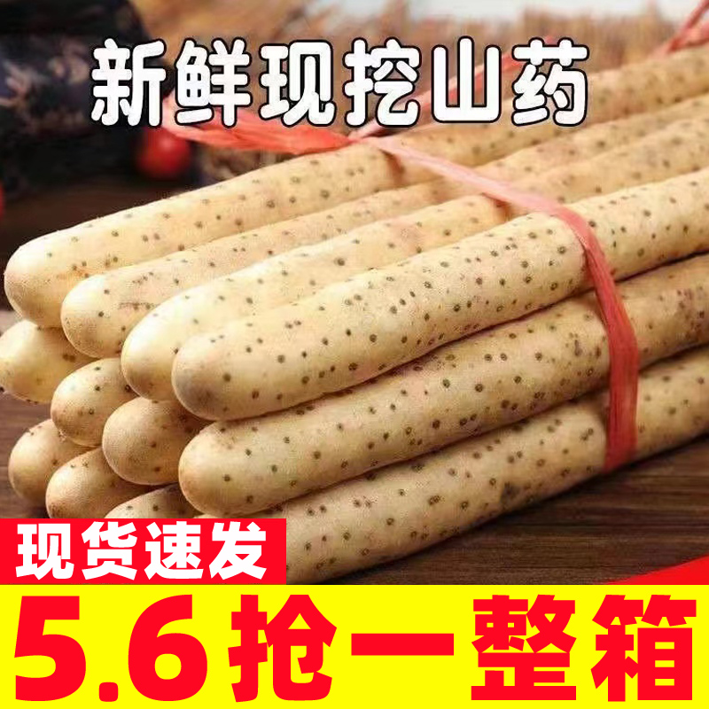 小白嘴山药新鲜5斤带箱当季蔬菜铁棍山药非温县垆土淮怀山药铁杆