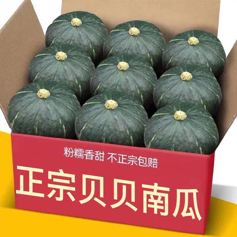 贝贝南瓜新鲜板栗味老南瓜正宗甜粉糯婴儿小南瓜5斤包邮水果蔬菜