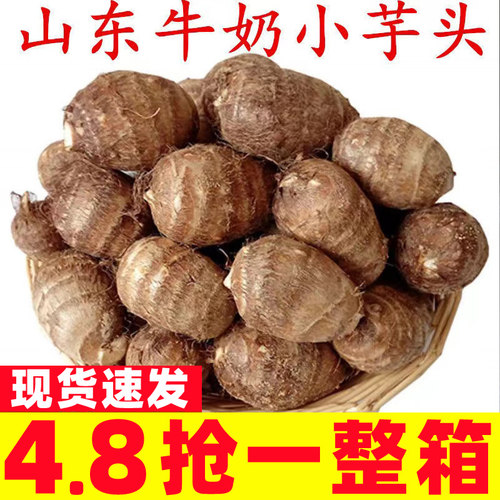 现挖山东牛奶小芋头新鲜农家毛
