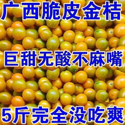 广西桂林脆皮金桔新鲜纯甜无籽