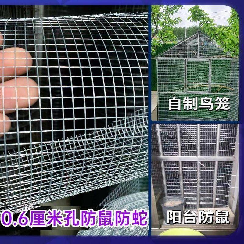 镀锌防鼠防蛇钢丝网阳台防护鸽鸟兔笼网鸡鸭户外养殖防锈铁丝网