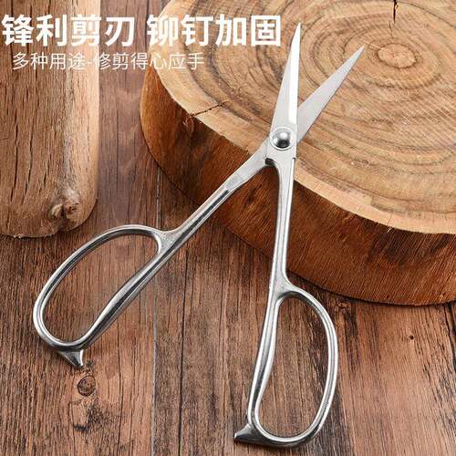 全钢叶芽剪不锈钢盆景插花剪园艺剪刀盆景专用工具园艺剪刀锋利