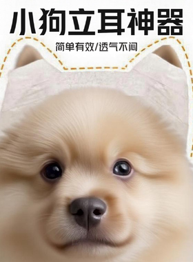 小狗立耳神器立耳器立耳竖耳贴幼犬竖耳狗狗专用通用辅助固定器