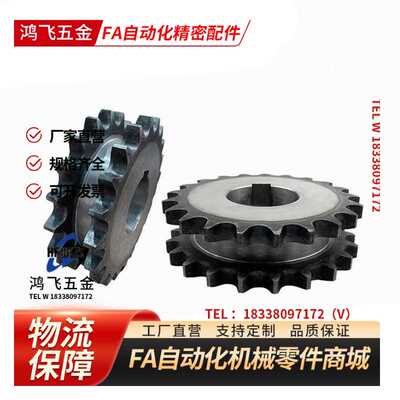 链轮齿轮链条 双列型 40B-08A 50B-10A SP40SD12-N 传动工业轮